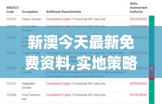 新澳今天最新免費資料,實地策略計劃驗證_Superior3.538