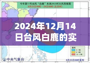 臺風白鹿來襲，2024年12月14日天氣動態(tài)分析與實時路徑圖