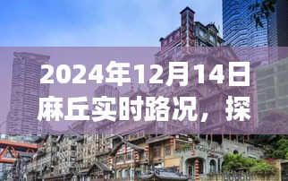 探秘麻丘小巷美食，2024年12月14日麻丘實(shí)時路況游記