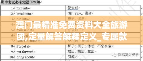 澳門最精準(zhǔn)免費資料大全旅游團,定量解答解釋定義_專屬款15.914