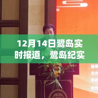鷺島紀(jì)實(shí)，探尋城市脈搏與生態(tài)觀察的12月14日特寫