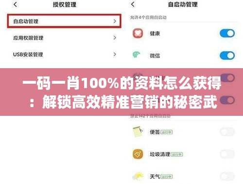 一碼一肖100%的資料怎么獲得：解鎖高效精準(zhǔn)營銷的秘密武器
