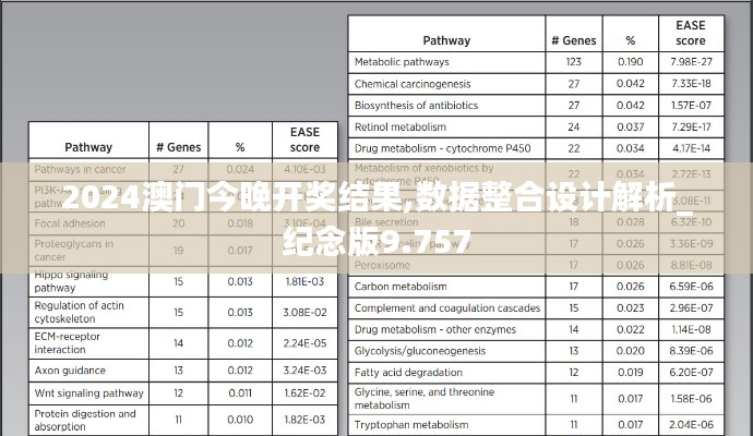 2024澳門今晚開(kāi)獎(jiǎng)結(jié)果,數(shù)據(jù)整合設(shè)計(jì)解析_紀(jì)念版9.757