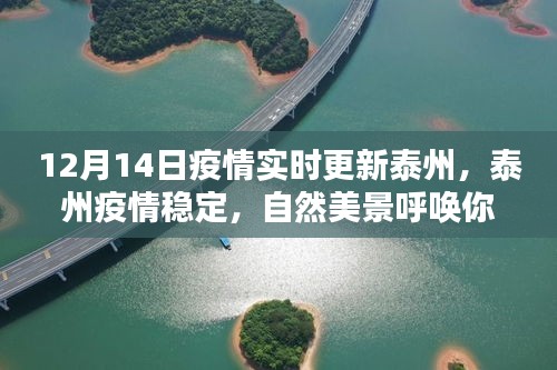 泰州疫情穩(wěn)定，自然美景呼喚探索，12月14日疫情實(shí)時(shí)更新