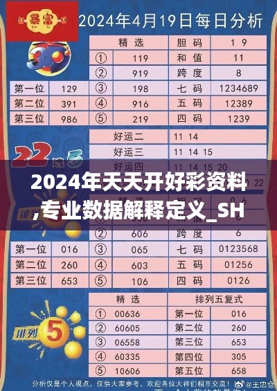 2024年天天開好彩資料,專業(yè)數(shù)據(jù)解釋定義_SHD8.971