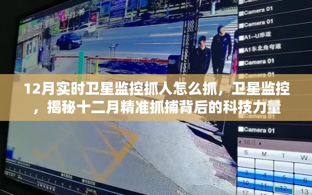 揭秘衛(wèi)星監(jiān)控科技力量，十二月精準(zhǔn)抓捕行動的背后故事