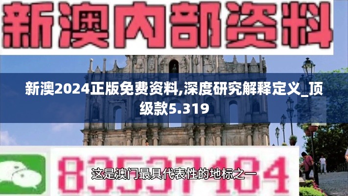 新澳2024正版免費資料,深度研究解釋定義_頂級款5.319