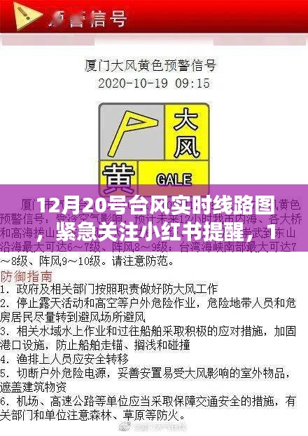12月20號臺風(fēng)實時線路圖解析及小紅書緊急提醒，安全與準(zhǔn)備并行