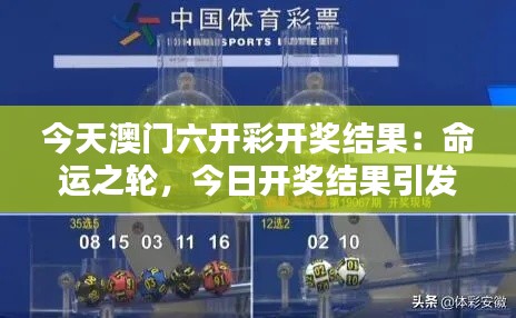 今天澳門六開彩開獎結(jié)果：命運之輪，今日開獎結(jié)果引發(fā)深思與期待