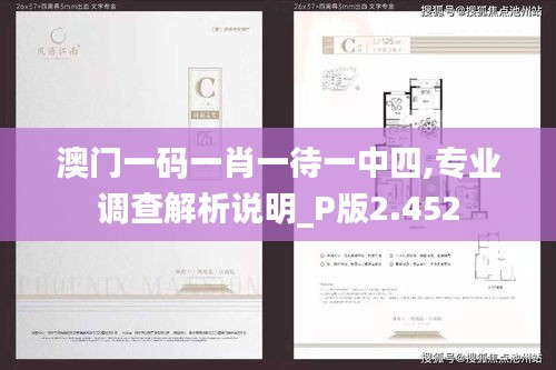 澳門一碼一肖一待一中四,專業(yè)調(diào)查解析說明_P版2.452