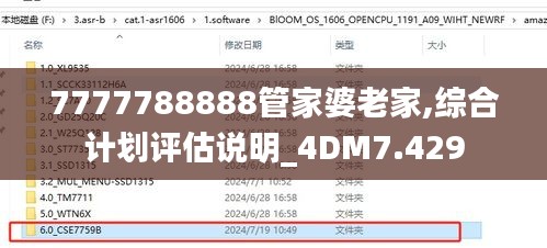 7777788888管家婆老家,綜合計劃評估說明_4DM7.429