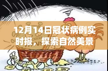 12月冠狀病例實(shí)時(shí)報(bào)下的自然美景治愈之旅，輕松啟程的旅程