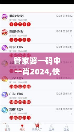 管家婆一碼中一肖2024,快速響應(yīng)計劃解析_XT3.249