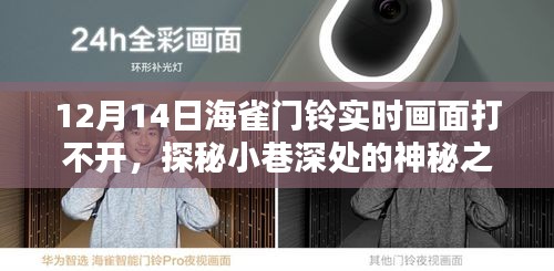 探秘小巷深處的神秘之門(mén)，海雀門(mén)鈴下的奇遇與實(shí)時(shí)畫(huà)面故障解析