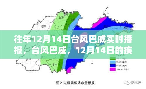 臺(tái)風(fēng)巴威來襲，疾風(fēng)驟雨與深遠(yuǎn)影響的實(shí)時(shí)播報(bào)（12月14日）
