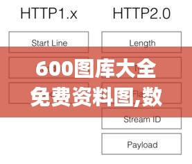 600圖庫(kù)大全免費(fèi)資料圖,數(shù)據(jù)分析解釋定義_NE版5.512