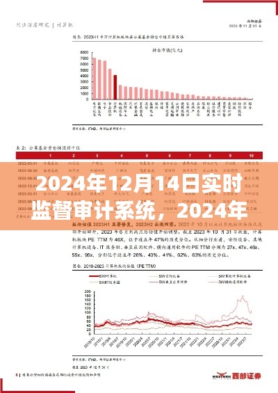 2024年實(shí)時(shí)監(jiān)督審計(jì)系統(tǒng)效能探討，價(jià)值、前景及展望