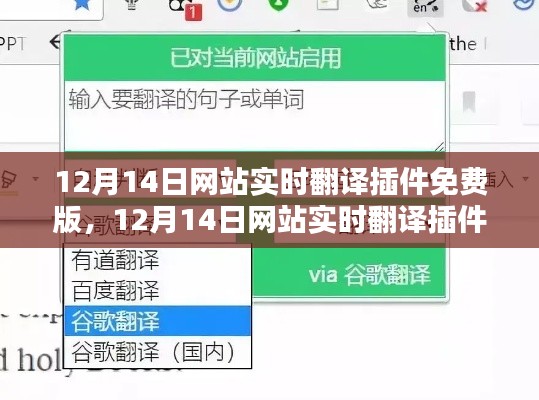 12月14日網(wǎng)站實時翻譯插件免費版詳解與評測