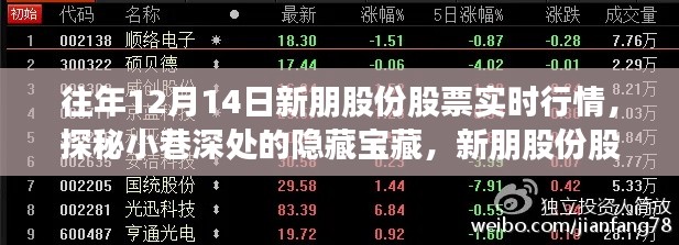 探秘新朋股份股票行情下的特色小店奇遇記，隱藏寶藏的股市與小巷故事