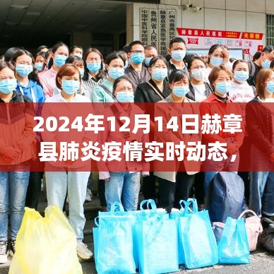 赫章縣肺炎疫情實時動態(tài)分析報告（聚焦觀點與立場，截至2024年12月14日）