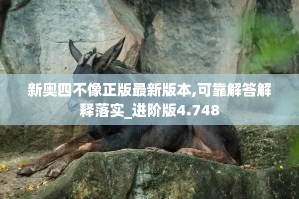 新奧四不像正版最新版本,可靠解答解釋落實_進(jìn)階版4.748