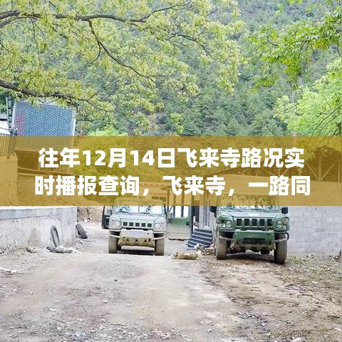 往年12月14日飛來寺路況實時播報，旅途中的日常故事與愛同行