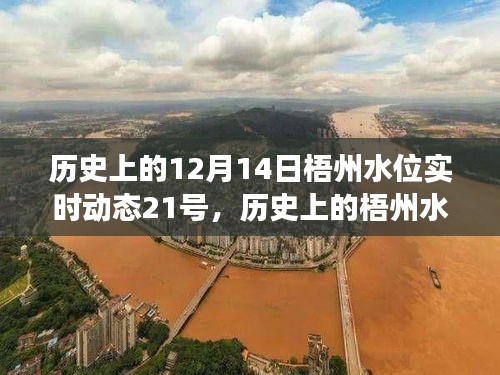 揭秘梧州水位變遷，歷史上的十二月十四日與二十一日水位動態(tài)回顧