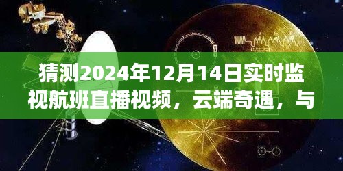 云端奇遇，共度溫馨時光，探索XXXX年XX月XX日航班直播之旅的奇妙旅程