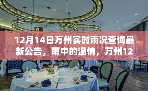 萬州雨情紀實，雨中溫情與故事交織的12月14日