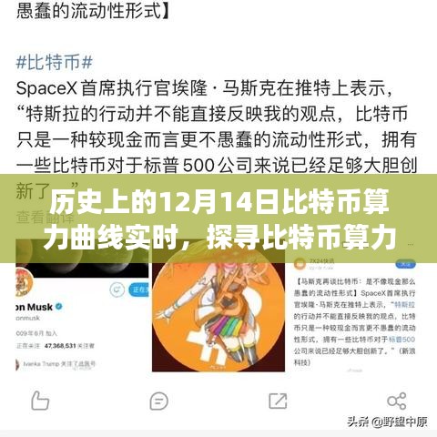 比特幣算力曲線(xiàn)探尋之旅，自然懷抱中的心靈平和與力量（歷史上的比特幣算力實(shí)時(shí)回顧）