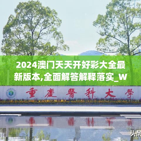 2024澳門天天開好彩大全最新版本,全面解答解釋落實(shí)_Windows3.631