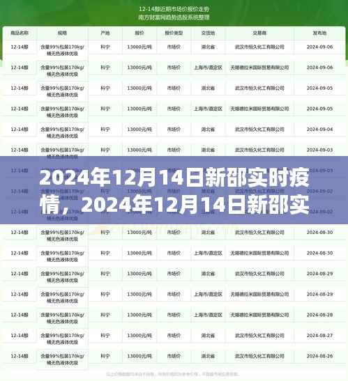 獨(dú)家解讀，2024年12月14日新邵實(shí)時(shí)疫情全面洞察與解讀