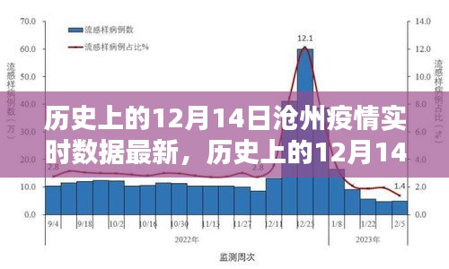 歷史上的12月14日滄州疫情實(shí)時(shí)數(shù)據(jù)深度測評與介紹，最新數(shù)據(jù)與介紹