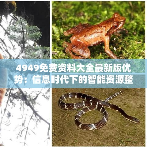 4949免費資料大全最新版優(yōu)勢：信息時代下的智能資源整合工具