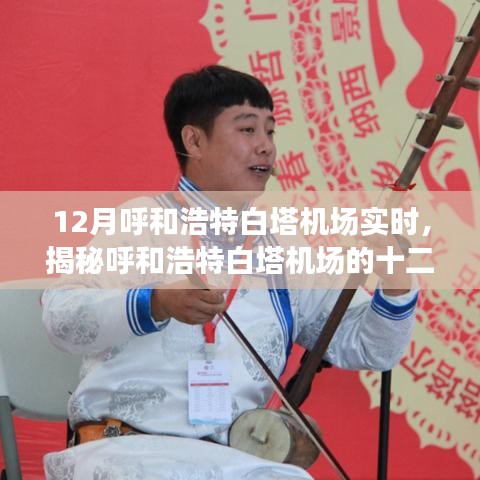 揭秘呼和浩特白塔機場十二月運營實況，最新實時動態(tài)分析