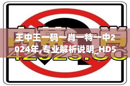 王中王一碼一肖一特一中2024年,專業(yè)解析說明_HD5.734