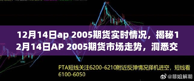 揭秘，AP 2005期貨市場走勢分析——洞悉交易前沿動態(tài)（實時更新）