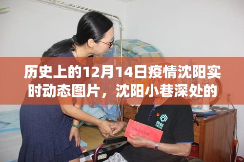 透過時(shí)光鏡頭，沈陽防疫故事——12月14日疫情實(shí)時(shí)動(dòng)態(tài)圖片回顧