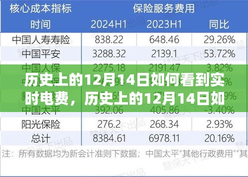 實用指南，歷史上的12月14日實時電費查詢步驟——初學(xué)者與進階用戶必看！