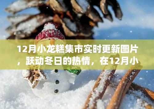 12月小龍糕集市，冬日熱情與學習的無限可能實時更新圖片展示