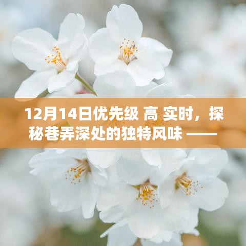 實時高優(yōu)先級探索，巷弄深處的獨特美食秘境之旅。