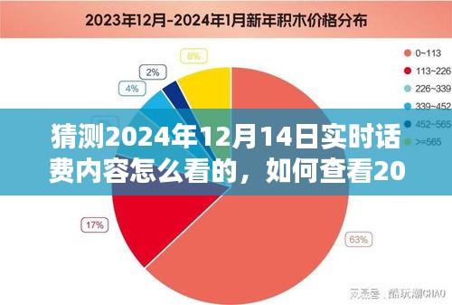 如何查看實(shí)時(shí)話費(fèi)內(nèi)容，初學(xué)者與進(jìn)階用戶指南——針對(duì)2024年12月14日的詳細(xì)指南