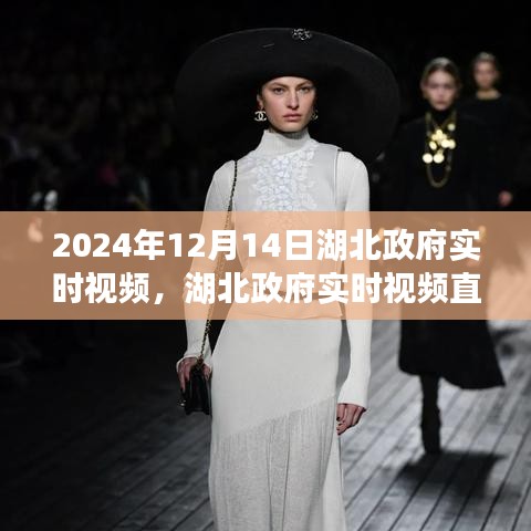 湖北政府實時視頻直播聚焦未來篇章，共探發(fā)展新篇章的要點