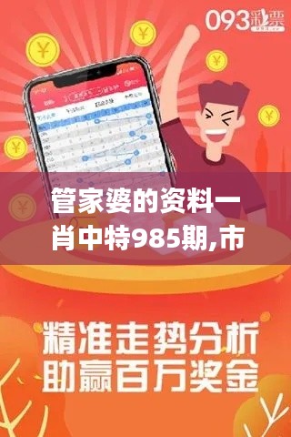管家婆的資料一肖中特985期,市場趨勢方案實施_D版10.556