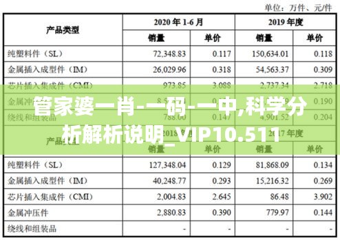 管家婆一肖-一碼-一中,科學(xué)分析解析說明_VIP10.511