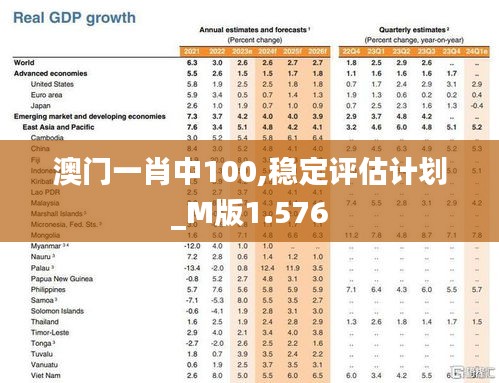 澳門一肖中100,穩(wěn)定評估計劃_M版1.576