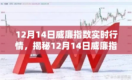 揭秘，威廉指數(shù)實時行情深度解析（12月14日）三大要點一覽無余