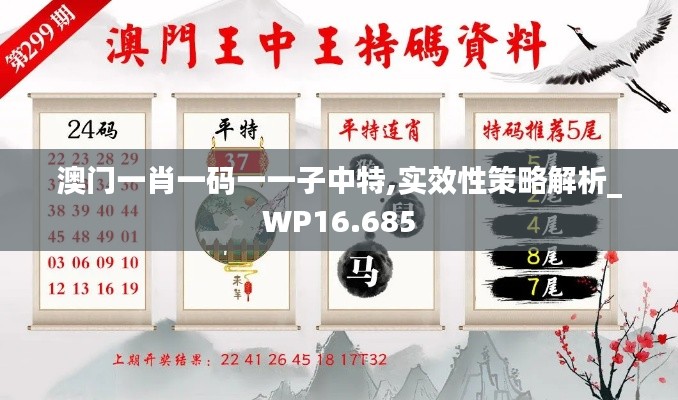澳門一肖一碼一一子中特,實(shí)效性策略解析_WP16.685