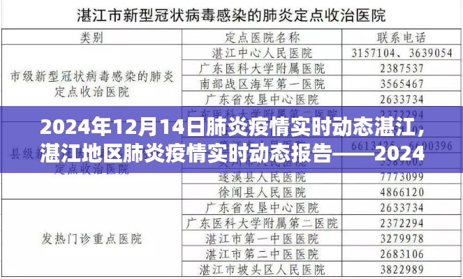 湛江地區(qū)肺炎疫情實(shí)時(shí)動(dòng)態(tài)報(bào)告，深度解析至2024年12月14日