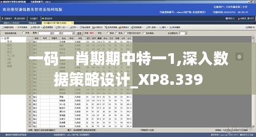 一碼一肖期期中特一1,深入數(shù)據(jù)策略設(shè)計_XP8.339